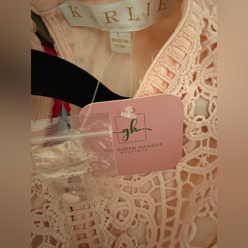 Karlie Blush Pink Lace Mini Dress NWT - Picture 8 of 9